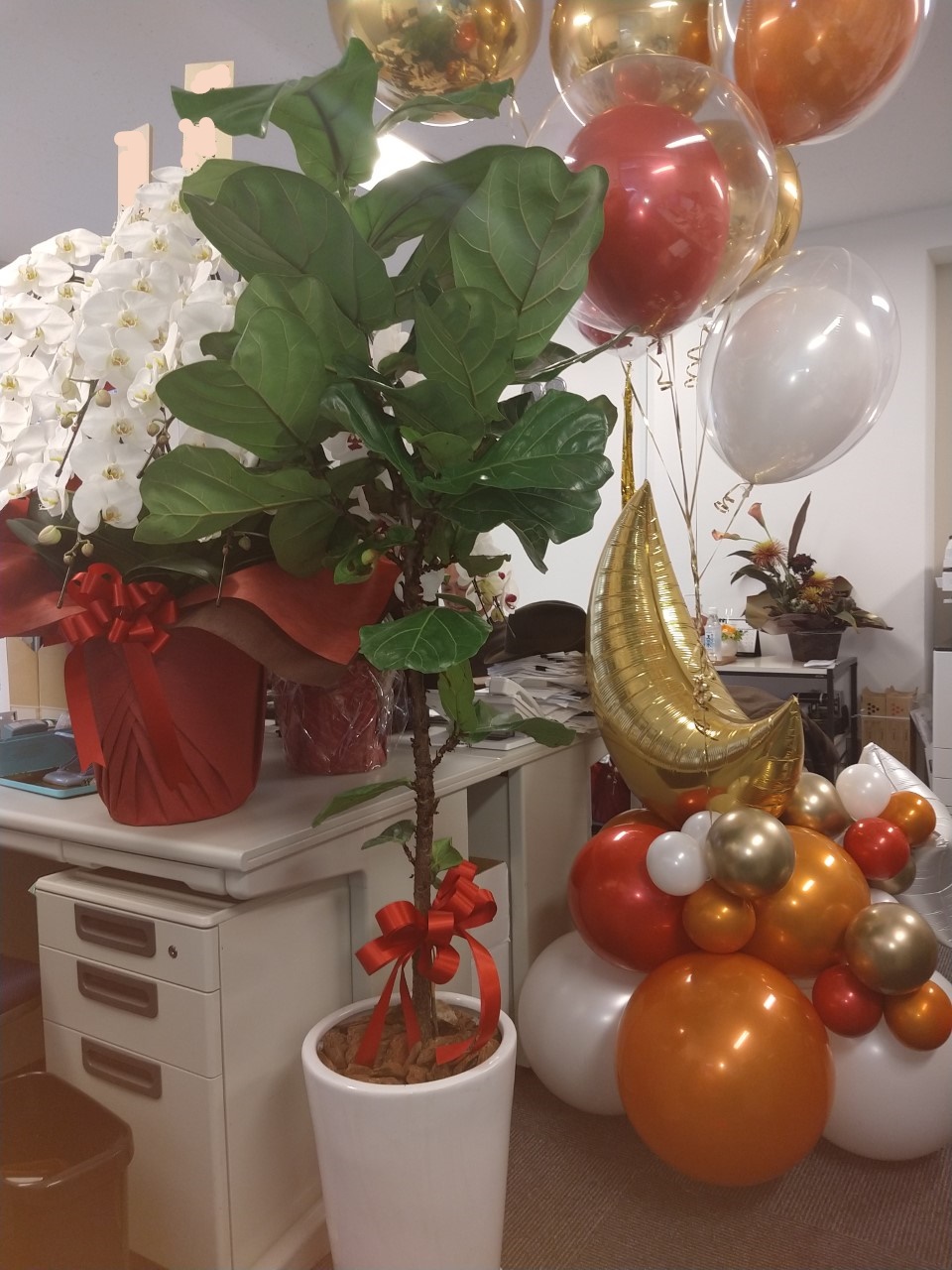 （今更ですが）新年だから心機一転、と掛けて、引っ越しととく。その心は。。。