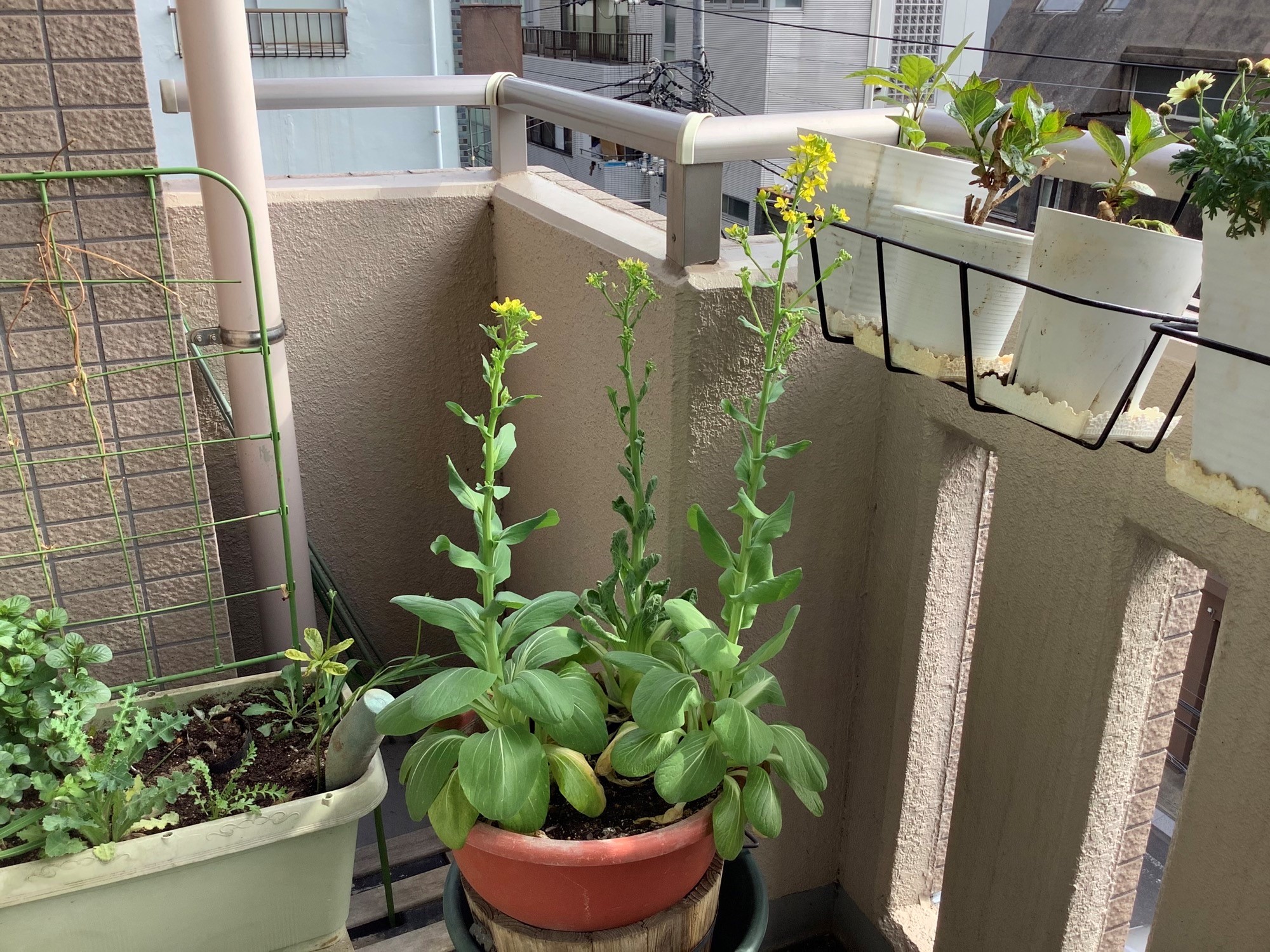 合併の事務手続きと解いて、ファンド投資の手続きと掛けます。その心は