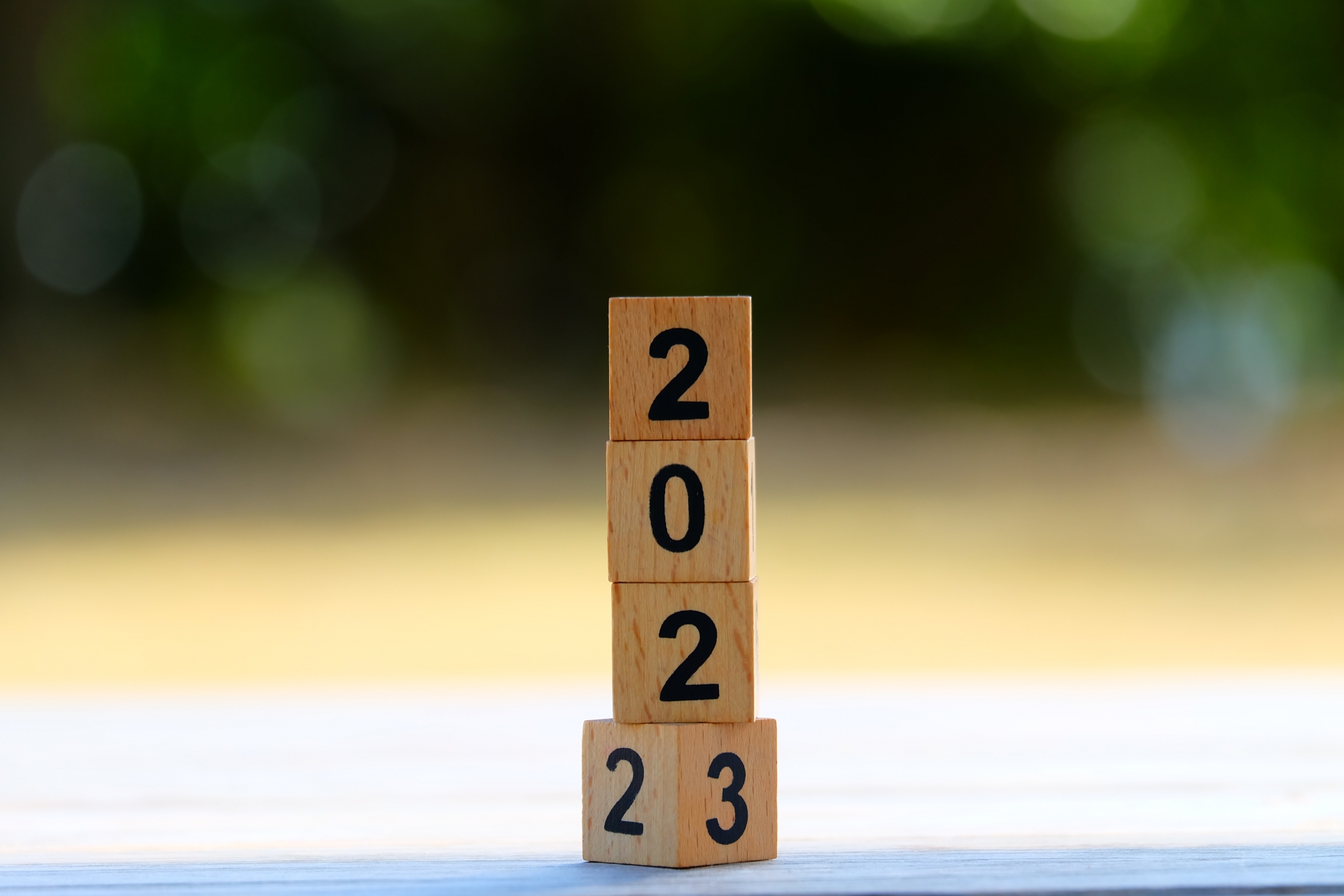 年に一度の年末なのだから、たまにはただの今年の総まとめでも？一言で言えば、今年もよく働かされました