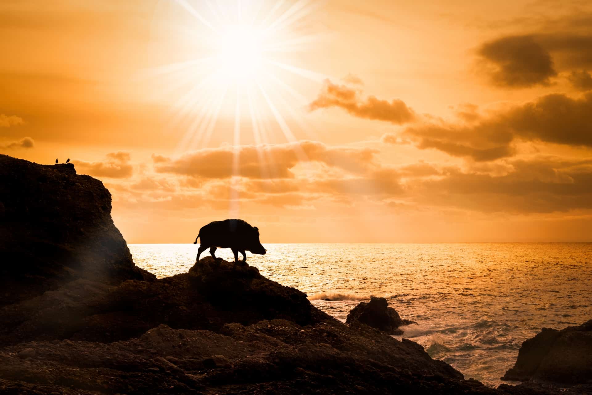 あけましておめでとうございます